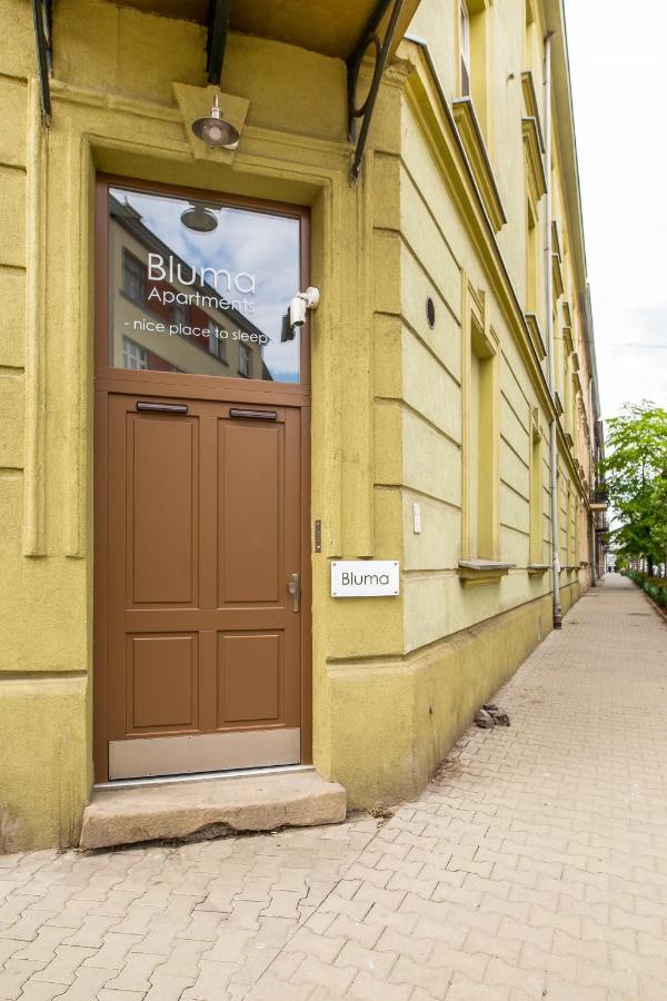 Apartamenty Bluma Krakow Bagian luar foto